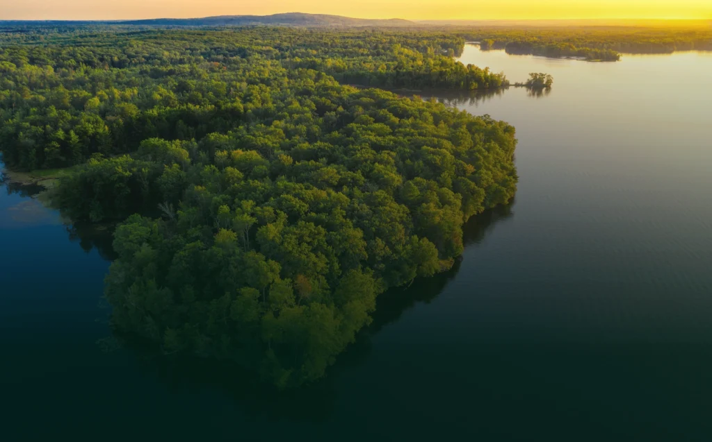 O Encontro das Águas: o fenômeno mais fascinante do Rio Negro e Rio Solimões #3