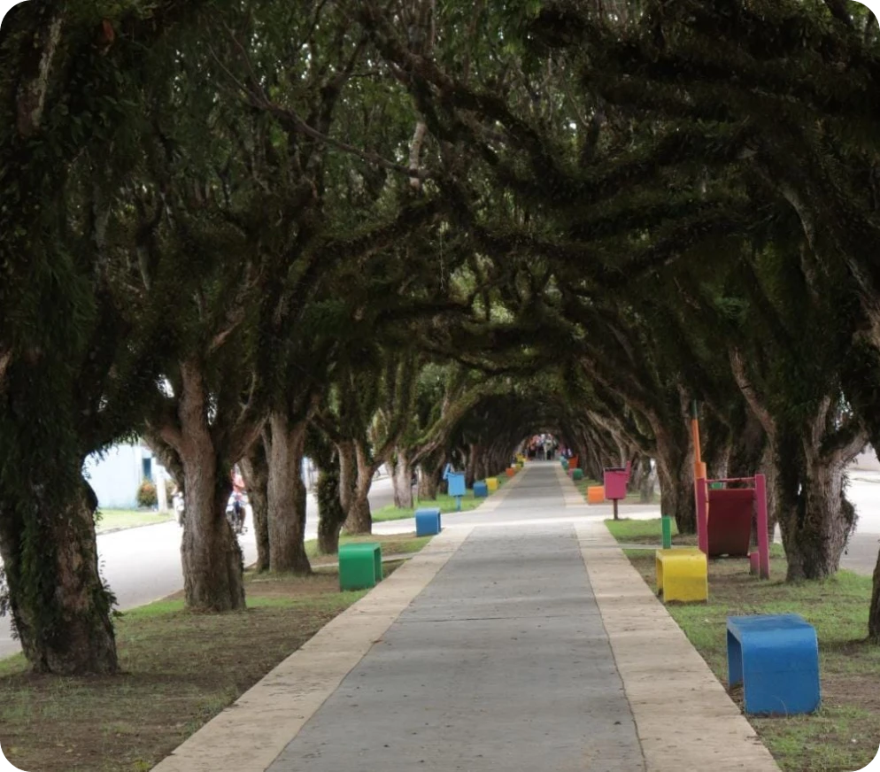Túnel Verde
